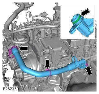 Engine And Ancillaries - Ingenium I4 2.0l Petrol